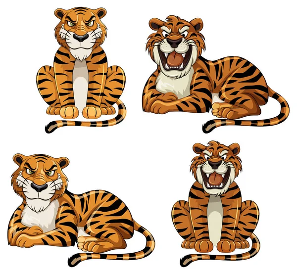 Készlet Tigris Rajzfilm Különböző Pózban Illusztráció — Stock Vector