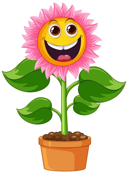 Bunga Matahari Tanaman Pot Kartun Terisolasi Ilustrasi - Stok Vektor