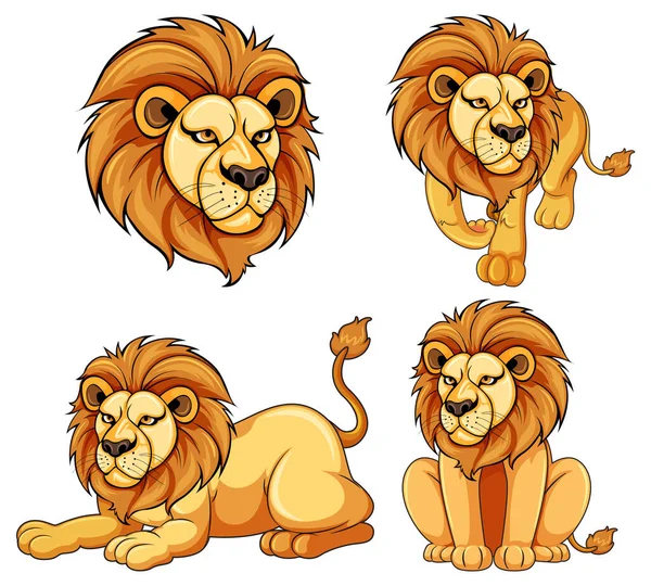 Set Von Löwen Cartoon Verschiedenen Posen Illustration — Stockvektor