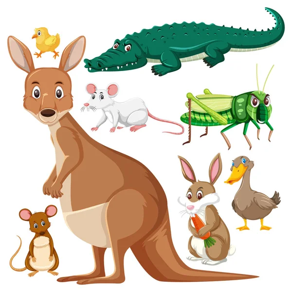 Conjunto Bonitos Animais Selvagens Desenho Animado Personagem Ilustração —  Vetores de Stock