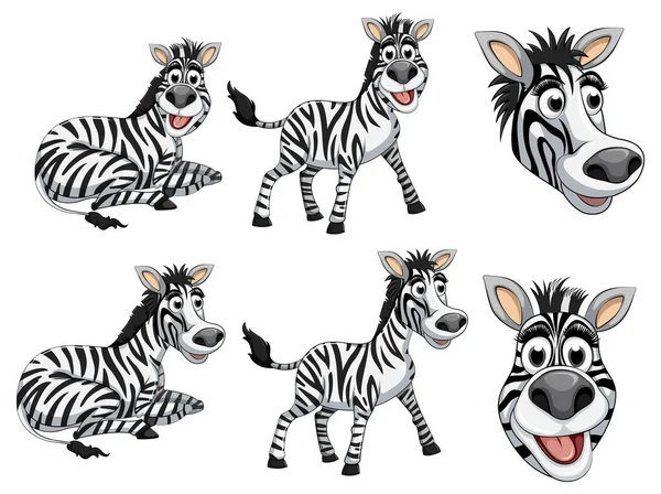Set Zebra Cartoon Illustration — Stock Vector