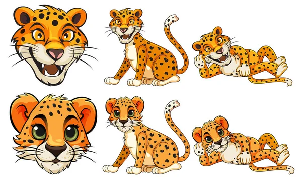 Набор Леопардовых Мультфильмов Разных Позах — стоковый вектор