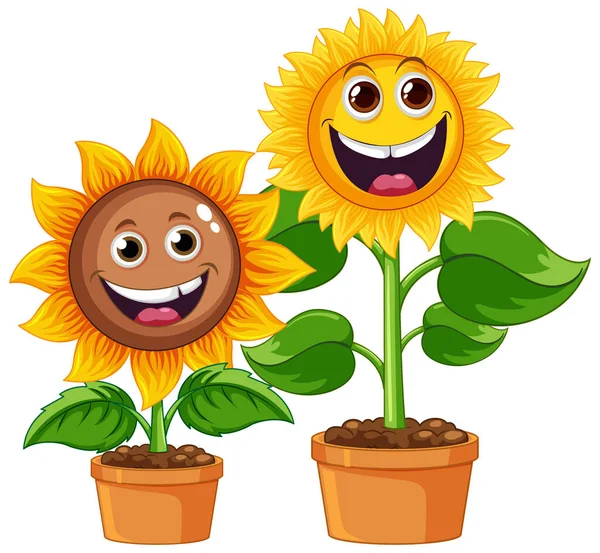 Sonnenblumenpflanze Topf Cartoon Isolierte Illustration — Stockvektor