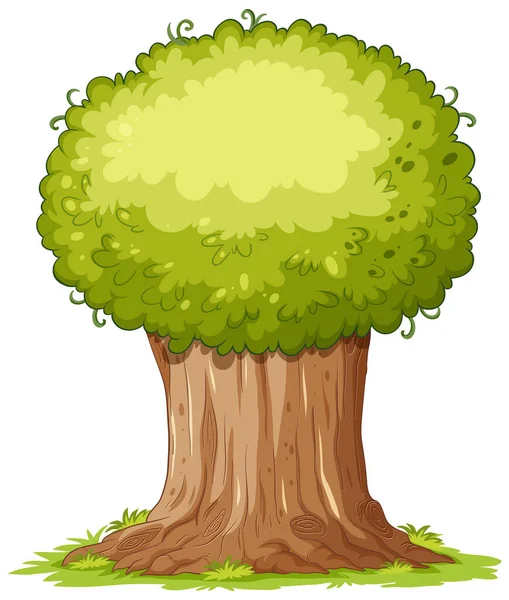 Ізольована Проста Ілюстрація Мультфільму Дереві — стоковий вектор