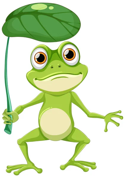 Green Frog Holding Folha Ilustração —  Vetores de Stock