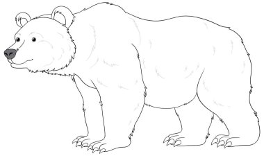 Beyaz kutup ayısının vektör karikatürü.