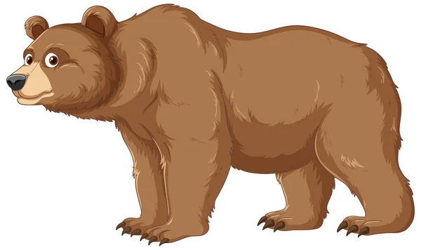 Vektor Tecknad Illustration Grizzlybjörn Isolerad Vit Bakgrund — Stock vektor