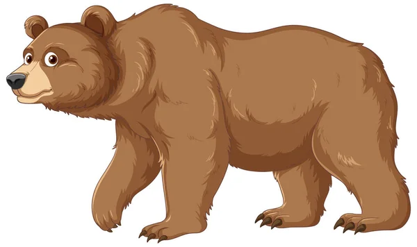 Fumetto Vettoriale Illustrazione Orso Grizzly Isolato Uno Sfondo Bianco — Vettoriale Stock