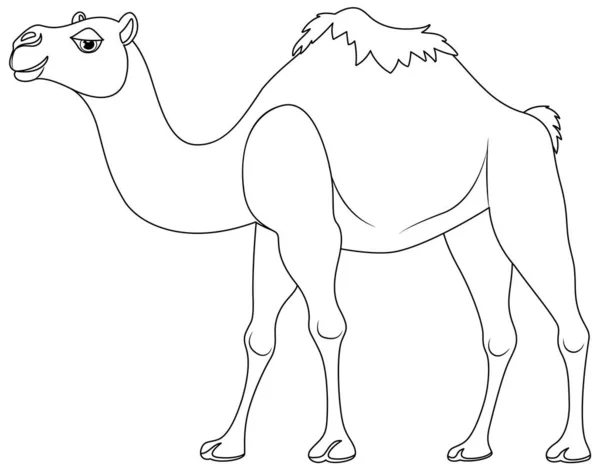 Uma Ilustração Vetorial Isolada Camelo Andando Sobre Fundo Branco —  Vetores de Stock