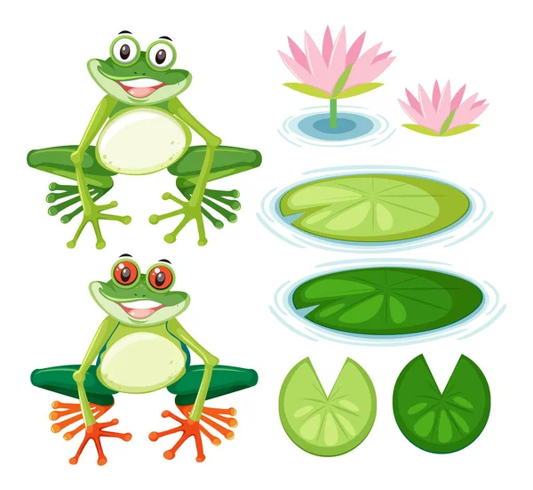 Πράσινο Βάτραχος Εικονογράφηση Συλλογή Χαρακτήρων Κινουμένων Σχεδίων — Διανυσματικό Αρχείο