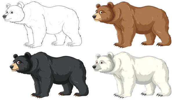 Vector Cartoon Illustration Various Bear Species — Stock Vector