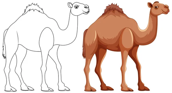 Vector Cartoon Illustration Camel Walking Isolated White Background Coloring Pages — Stok Vektör