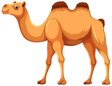 Beyaz arka planda tek başına yürüyen bir devenin karikatür çizimi.