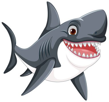 Büyük beyaz köpekbalığının vektör çizimi. Büyük dişleri olan, gülümseyen ve yüzen beyaz bir köpekbalığı.