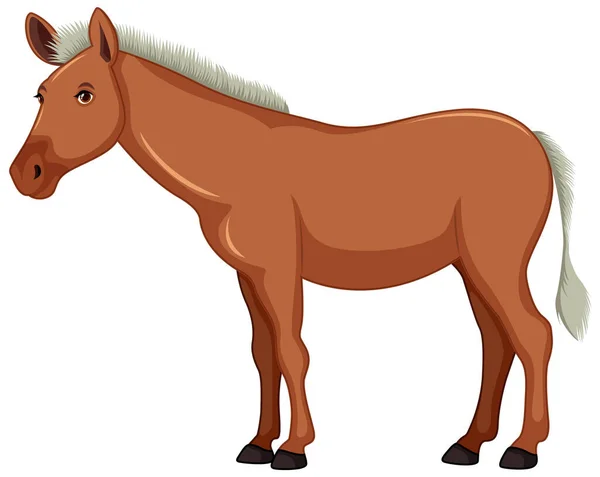 Vector Cartoon Illustration Brown Horse Standing Isolated White Background — Stock Vector