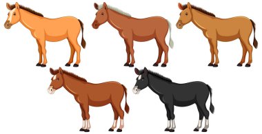 Farklı desenlerde ve renklerde duran bir grup at, beyaz bir arka planda izole edilmiş.