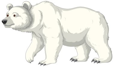 A vector cartoon illustration of a polar bear isolated on a white background