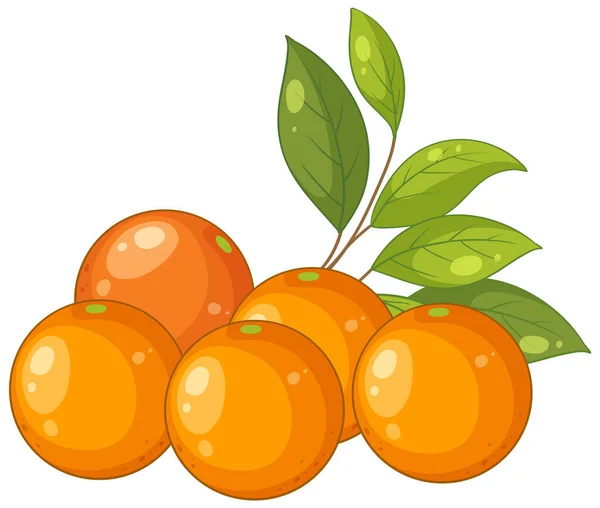 Yapraklı Basit Bir Portakal Demetinin Canlı Bir Temsili — Stok Vektör