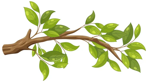 Μια Εικονογράφηση Φορέα Κινουμένων Σχεδίων Ενός Κλαδιού Δέντρου Πράσινα Φύλλα — Διανυσματικό Αρχείο