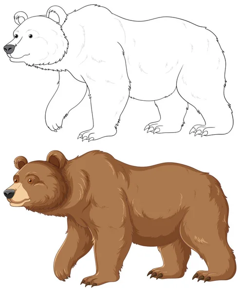 Outline Grizzly Bear Cartoon Colouring Pages Isolated White Background — ストックベクタ