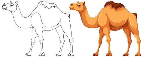 Uma Ilustração Desenho Animado Vetorial Camelo Andando Com Seu Contorno — Vetor de Stock