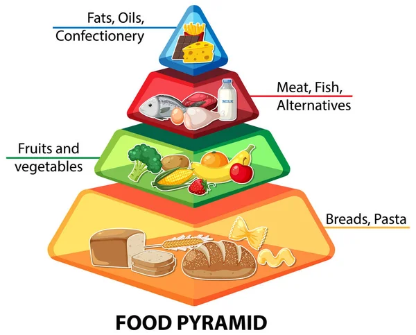 Kolorowa Ilustracja Kreskówki Piramidy Żywności Informacjami Żywieniowymi — Wektor stockowy