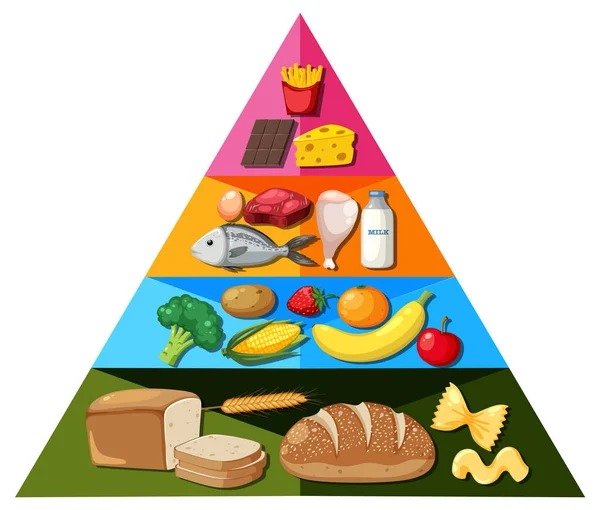 Ilustrowana Infografika Przedstawiająca Kreskówkową Piramidę Żywności Dla Zrozumienia Odżywiania — Wektor stockowy