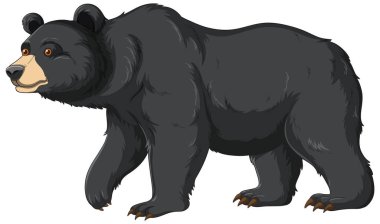 A vector cartoon illustration of a black bear isolated on a white background clipart