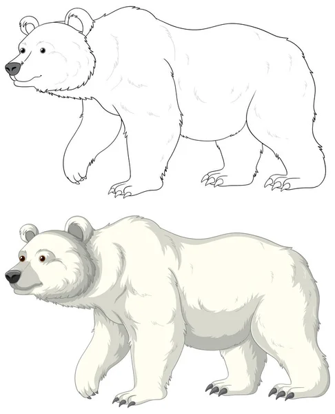 白い背景に単離された着色ページのための極端な熊の輪郭のベクトル漫画のイラスト — ストックベクタ