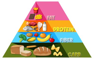 Beslenme için bir çizgi film besin piramidini betimleyen resimli bir bilgi grafiği
