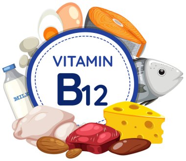 Besleyici besinlerle çevrili B12 vitamininin renkli çizimi
