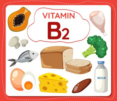 B2 vitamini zengini yiyecek, meyve ve sebzelerle çevrili bir çerçeve afişinin renkli vektör çizimi