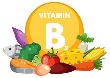 B2 vitamini bakımından zengin çeşitli meyve ve sebzelerin renkli çizimi