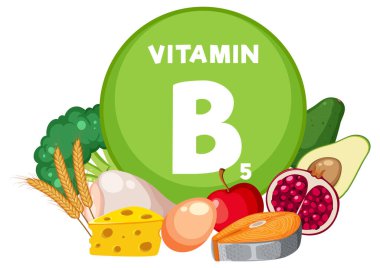 Besleyici meyve ve sebzelerin B5 vitamini ile doldurulmuş renkli çeşitleri