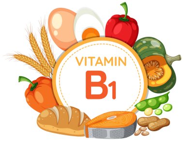 B1 vitamini açısından zengin yiyecek ve meyveleri gösteren renkli afişler