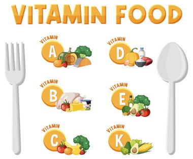 Vitamin içeriğine göre sınıflandırılmış çeşitli yiyecek türlerinin çizimi