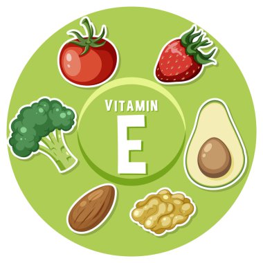 Bu eğitim posterinden E vitamini açısından zengin gıdalar hakkında bilgi edinin