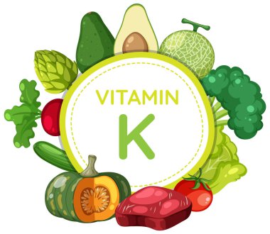 Renkli vektör illüstrasyonunda K vitamini zengin gıda ve meyveler gösteriliyor