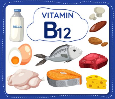 B12 vitamini içeren yiyecek ve meyvelerle çevrili bir çerçeve afişinin renkli vektör illüstrasyonu