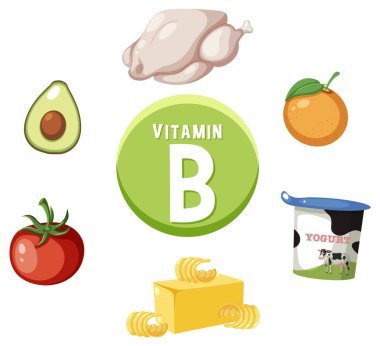 B-zengini yiyeceklerin renkli bir vektör çizimi