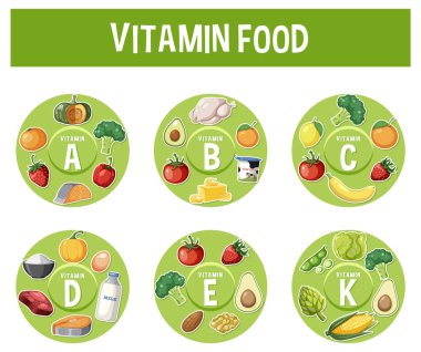 Vitamin içeriklerine göre sınıflandırılmış çeşitli yemek türlerini gösteren bilgilendirici bir çizgi film çizimi