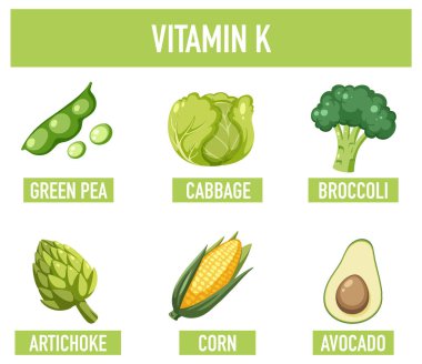 Renkli bir illüstrasyonla K vitamini zengin gıdalar hakkında bilgi edinin