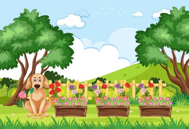 Çekici bir köpek kırsal kesimin huzurunun tadını çıkarır.