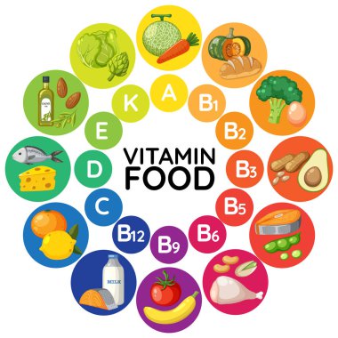 Çeşitli besin gruplarının vitamin içeriğine göre sınıflandırılması