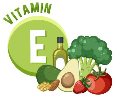 Bu eğitici posterdeki E vitamini zengin gıdaları keşfedin