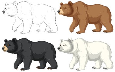 A vector cartoon illustration of various bear species