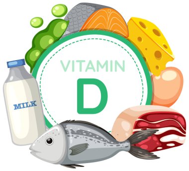 D vitamini zengini gıda ve meyvelerin renkli vektör çizimi