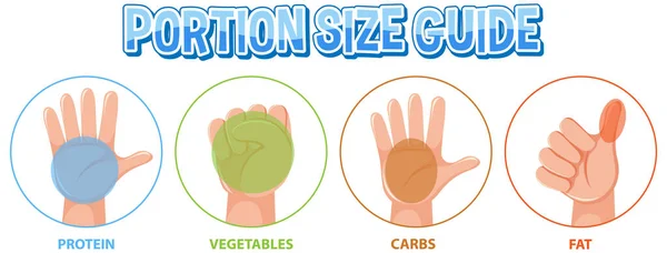 Comparing Food Amounts Using Hand Portion Sizes Healthy Diet — Stock Vector