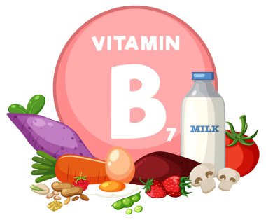 B7 vitamini zengini meyve ve sebzelerin renkli bir çizimi