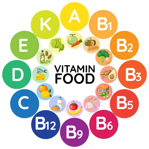 Farklı besin gruplarının vitamin içeriklerine göre sınıflandırılması